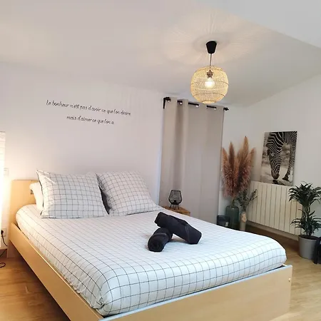 Sous Les Toits De - Cosy Et Chaleureux Apartament
